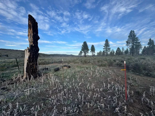 $11,000 | 0 Mule Deer Drive, Unit 1, Chiloquin, OR 97624