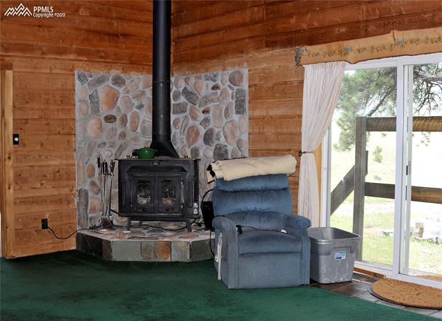 1645 Doe Valley Road Guffey, CO 80820 - Photo 4 of 23 Gallery Image 4