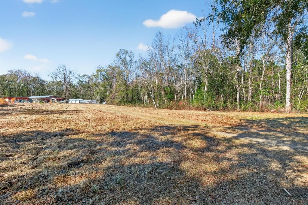 2744 Roy Sikes Road Hilliard, FL 32046 - Photo 88 of 97 a view of dirt field with trees
