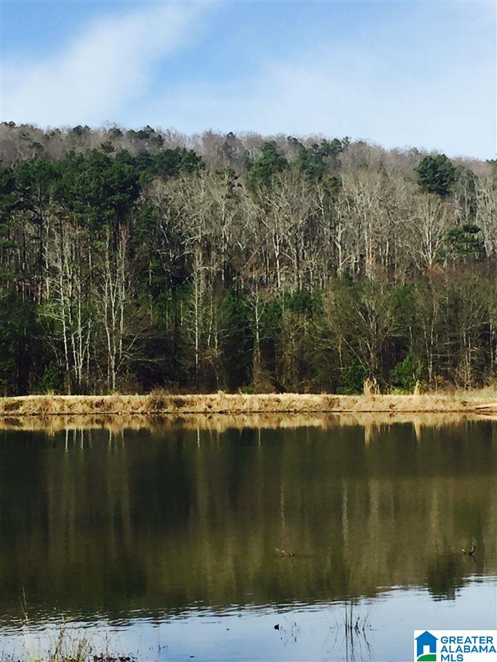 2801 Highway 42 Oneonta Al Oneonta, AL 35121 - Photo 6 of 7