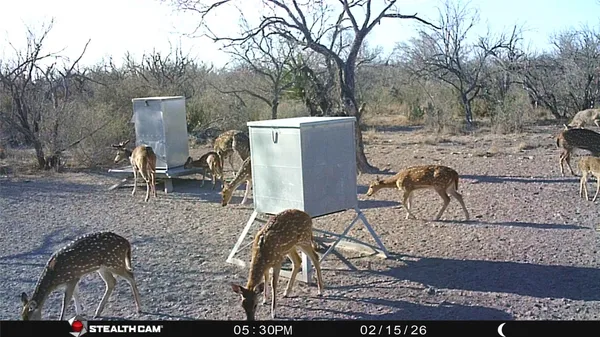 a picture of a room with a yard