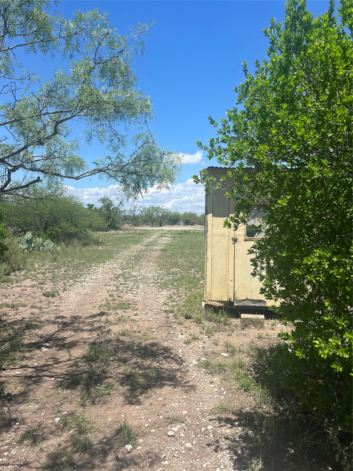 1097 North Rr 3008 Ranch Brackettville, TX 78832 - Photo 4 of 6 a view of a yard with an ocean and trees in the background