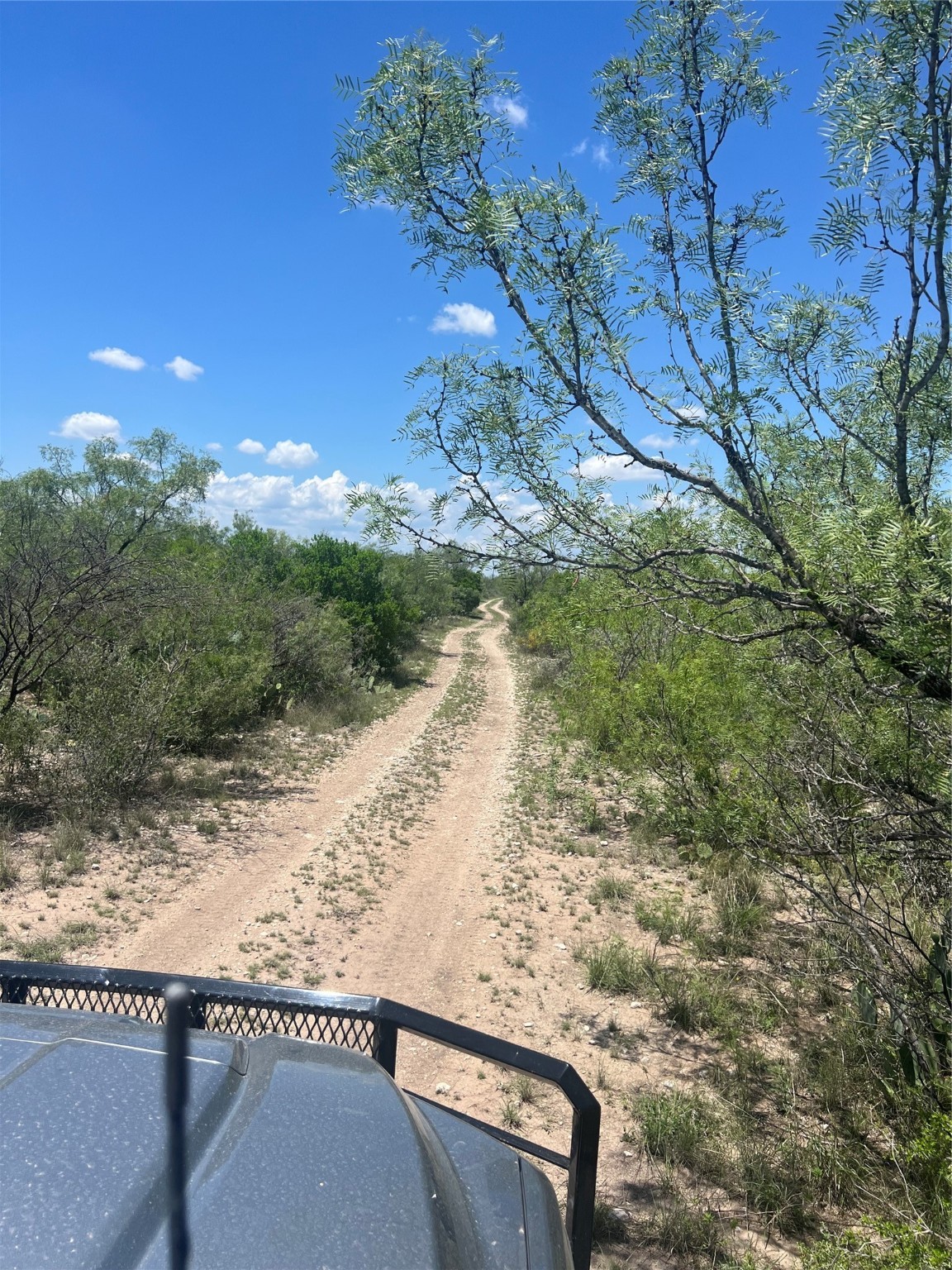 1097 North Rr 3008 Ranch Brackettville, TX 78832 - Photo 5 of 6 a view of a yard with a tree