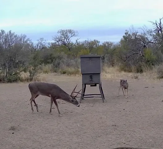 a view of a yard in a house