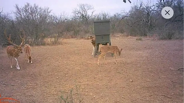 a view of park with large trees