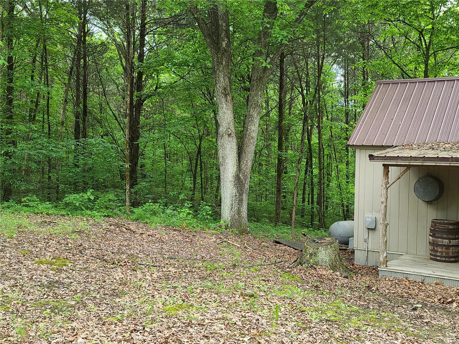 337 Cedar Grove Road Simpson, IL 62985 - Photo 18 of 21 Gallery Image 18