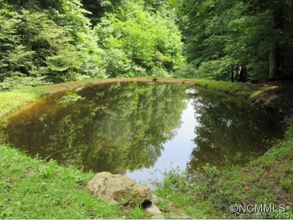 317 Left Fork Run Road Bakersville, NC 28705 - Photo 6 of 18 Gallery Image 6