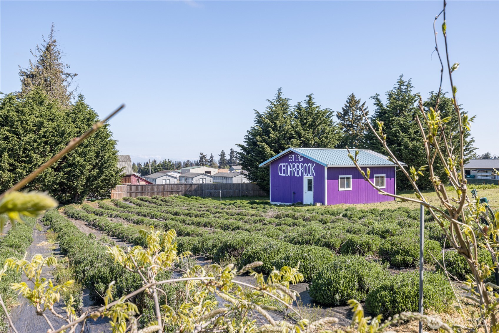 31 Brueckner Road Sequim, WA 98382 - Photo 27 of 34