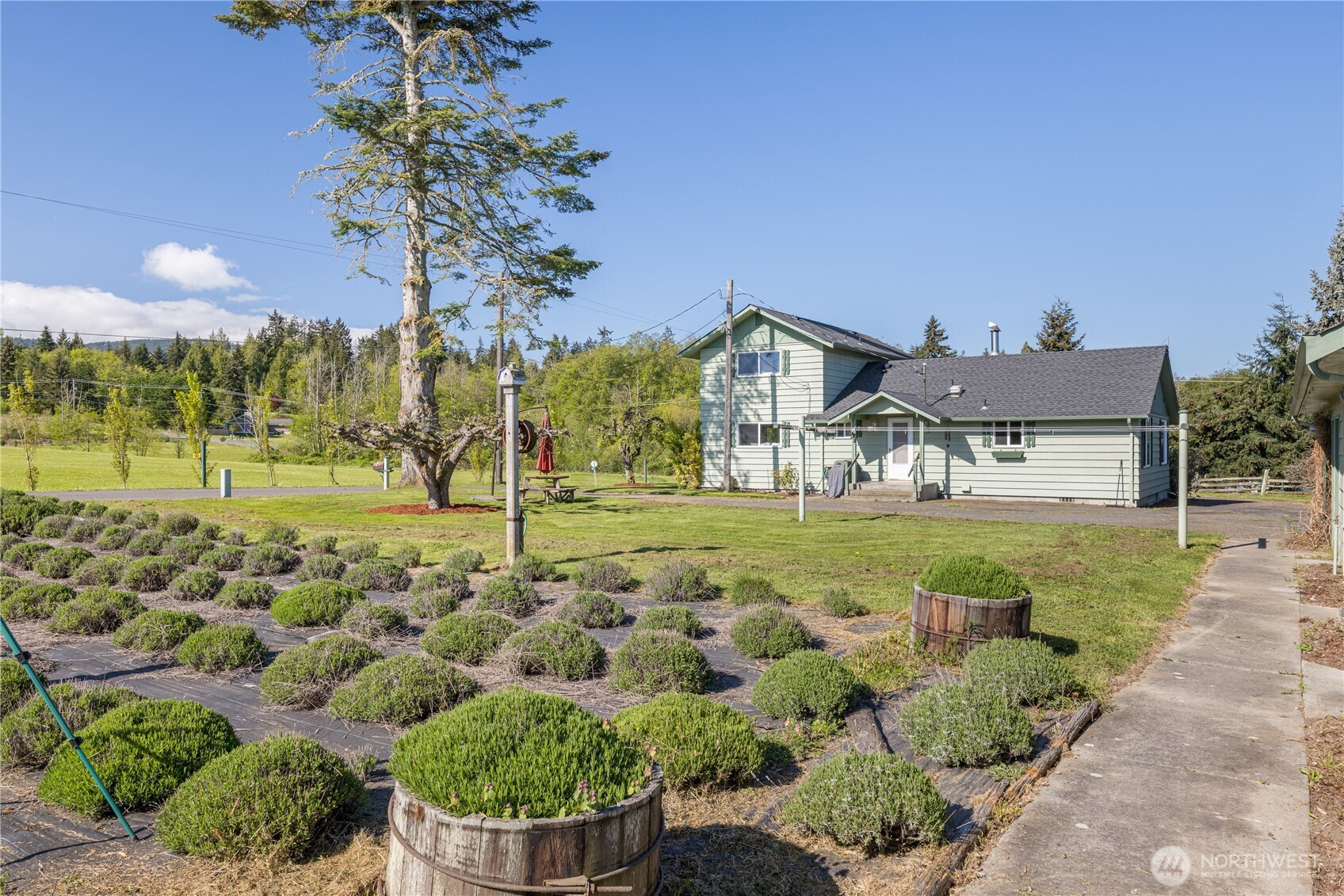 31 Brueckner Road Sequim, WA 98382 - Photo 34 of 34