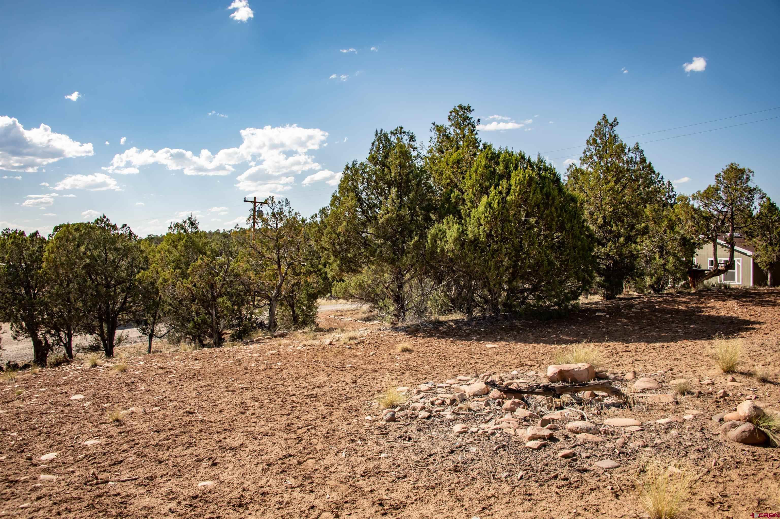 475 Run Around Road Arboles, CO 81121 - Photo 31 of 40 a view of a yard covered in snow