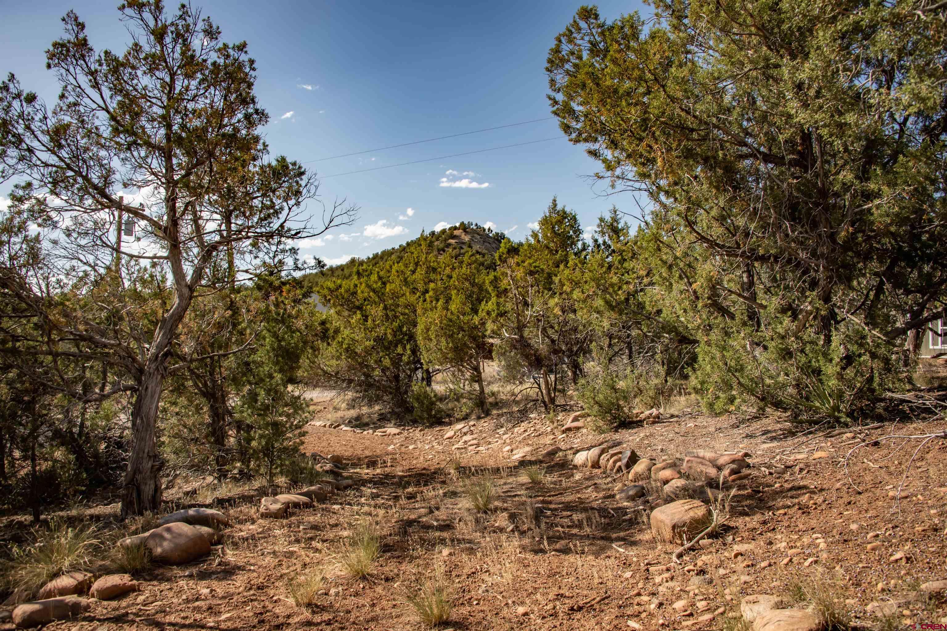 475 Run Around Road Arboles, CO 81121 - Photo 32 of 40
