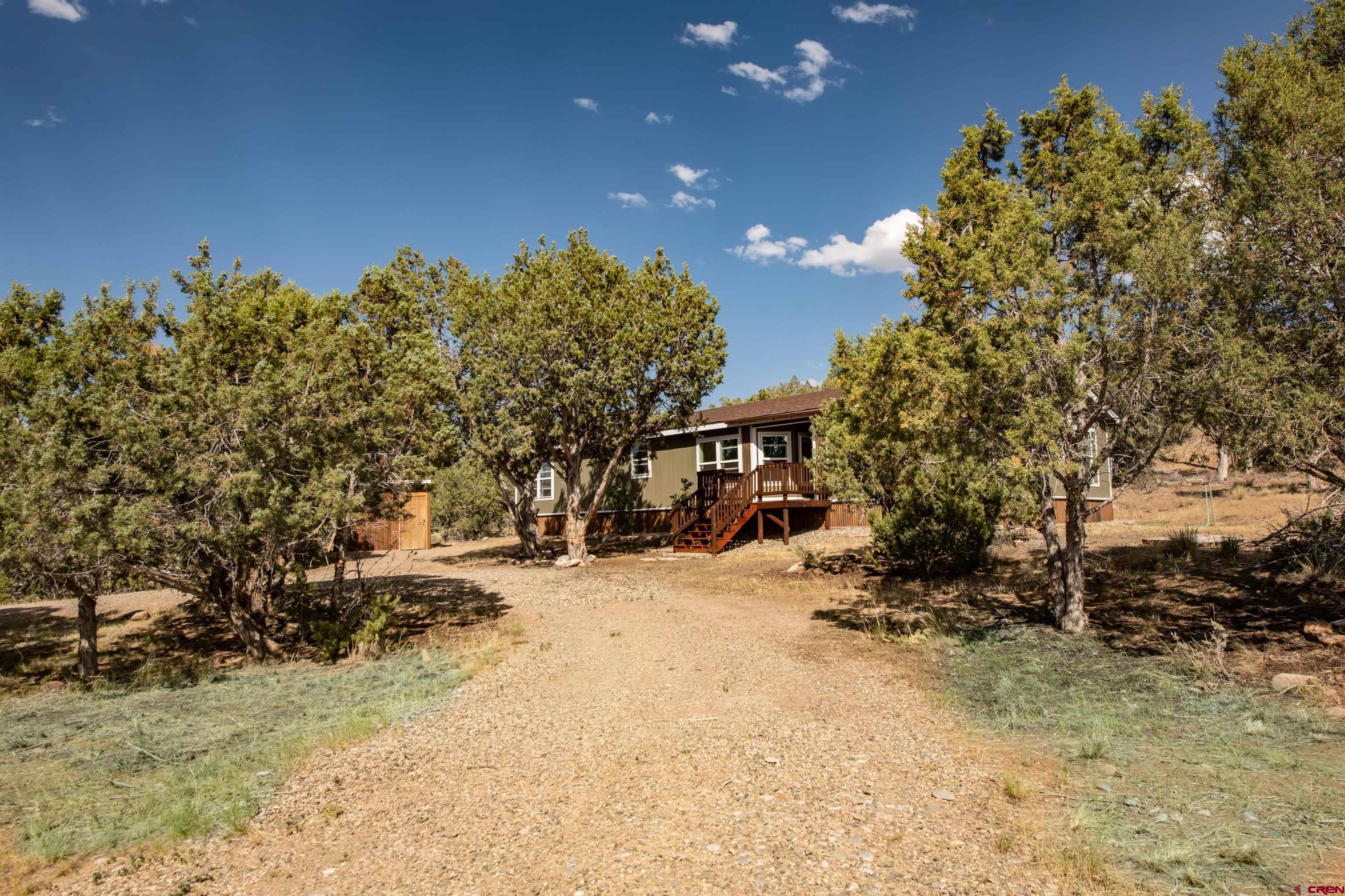 475 Run Around Road Arboles, CO 81121 - Photo 5 of 40 a view of a yard covered in snow