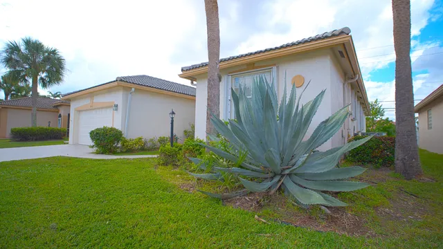a view of a backyard with plants