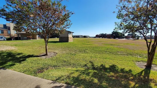 a view of a garden with a tree