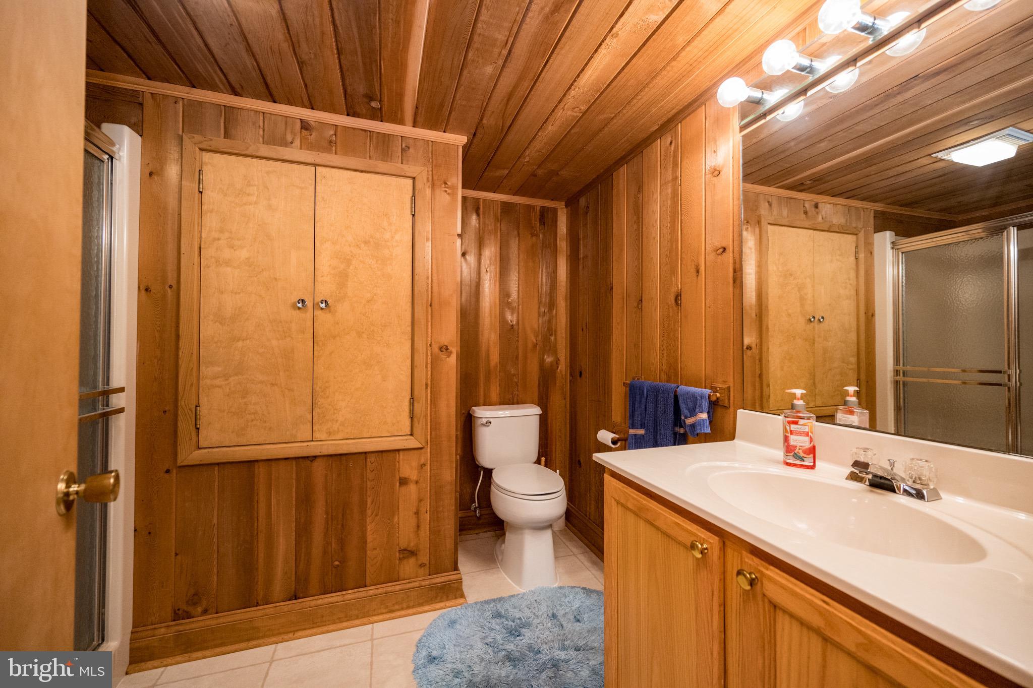 62 Duck Cove Road Oakland, MD 21550 - Photo 61 of 73 Lower Level Full Bath