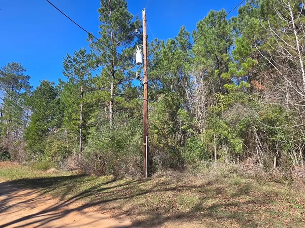 a view of a yard with plants and trees