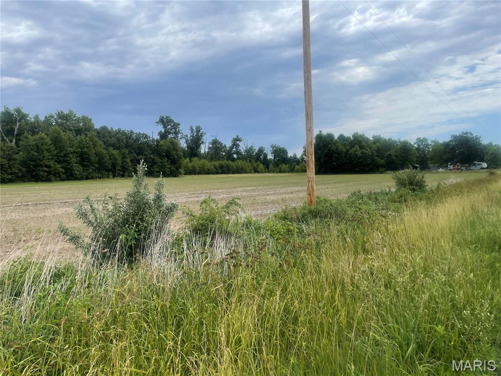 Xxx Louse Creek Road Patoka, IL 62875 - Photo 7 of 7