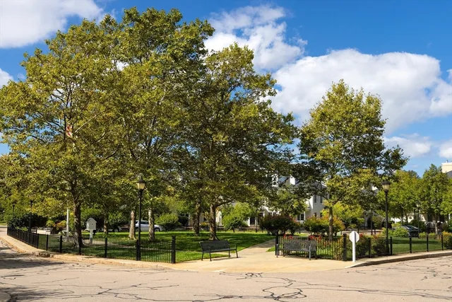 a view of a yard with plants and trees