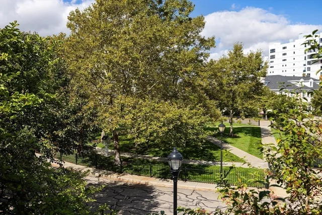 a view of a yard with plants