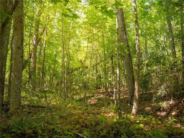 $195,000 | 6 Hood Road, Easley, SC 29640