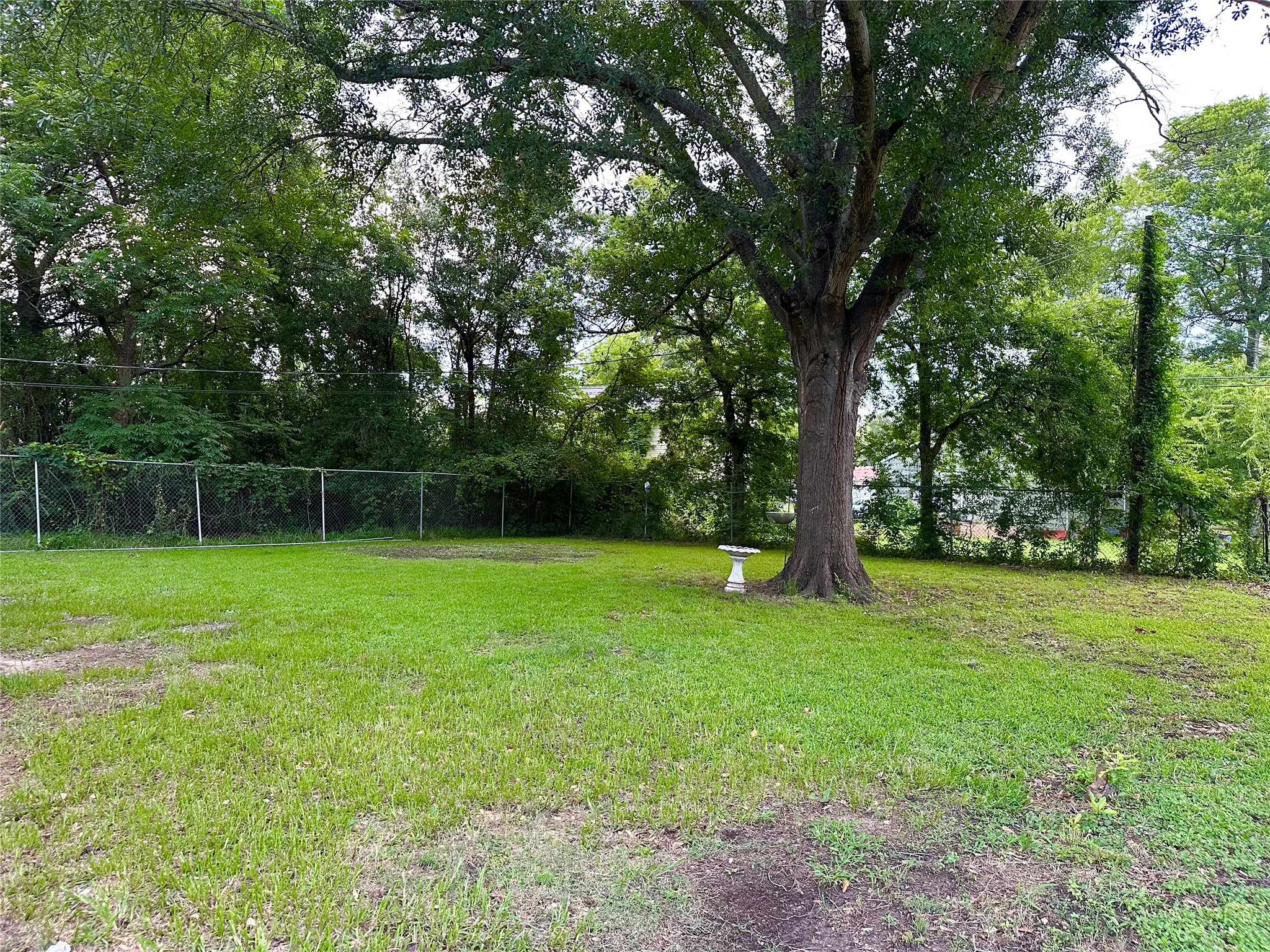 213 East Rhodes Avenue Lufkin, TX 75901 - Photo 17 of 19