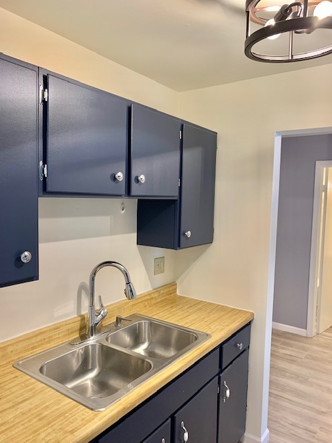 879 Trace Drive, Unit 202 Buffalo Grove, IL 60089 - Photo 10 of 18 a close view of sink and tap