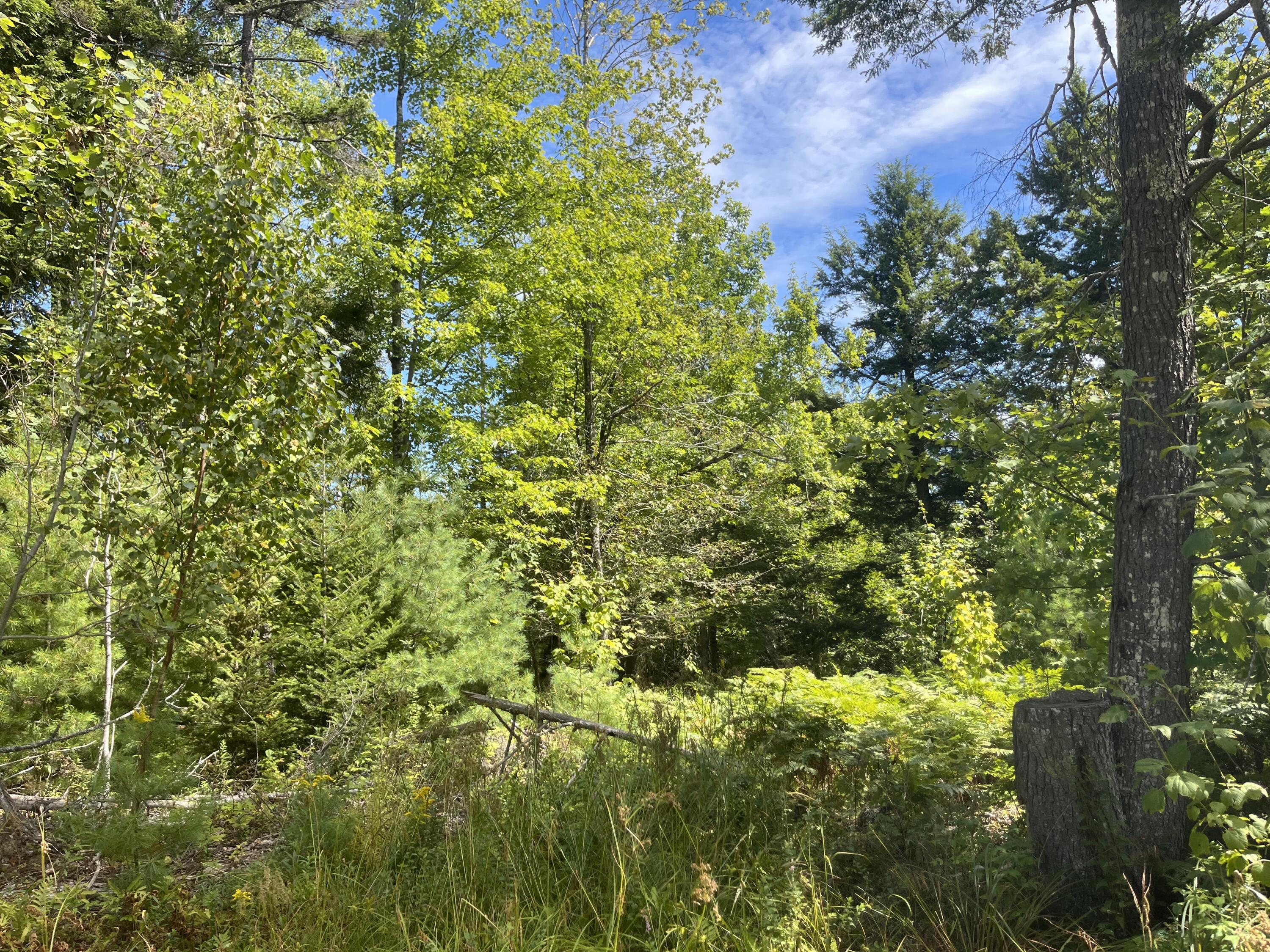 0 Bald Mountain Road Dedham, ME 04429 - Photo 3 of 7 1