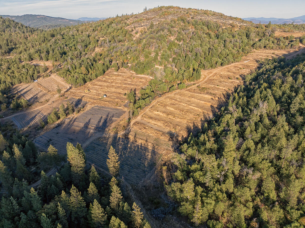 14738 Ramsey Road White City, OR 97503 - Photo 5 of 55 DJI_20241008172942_0631_D copy