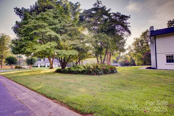 a view of a park with large trees