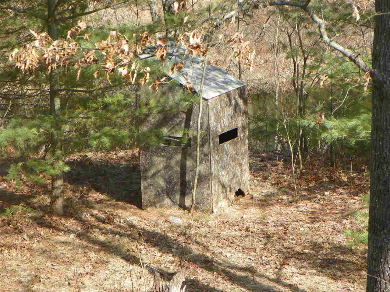 Tbd Tbd Pine Marion, MI 49665 - Photo 5 of 18