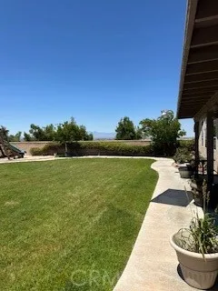 a view of a garden with lawn chairs