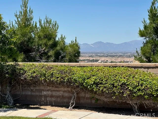 a view of a yard with wooden fence