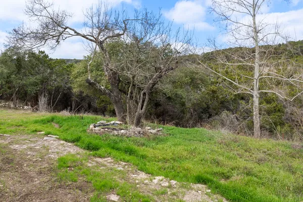$1,500 | 10507 Tarantula Court, Leander, TX 78641