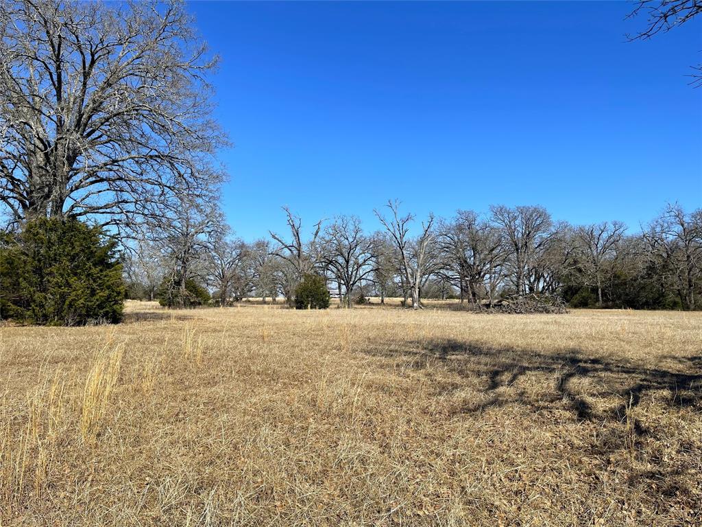 755 Fcr 601 Fairfield, TX 75840 - Photo 12 of 15