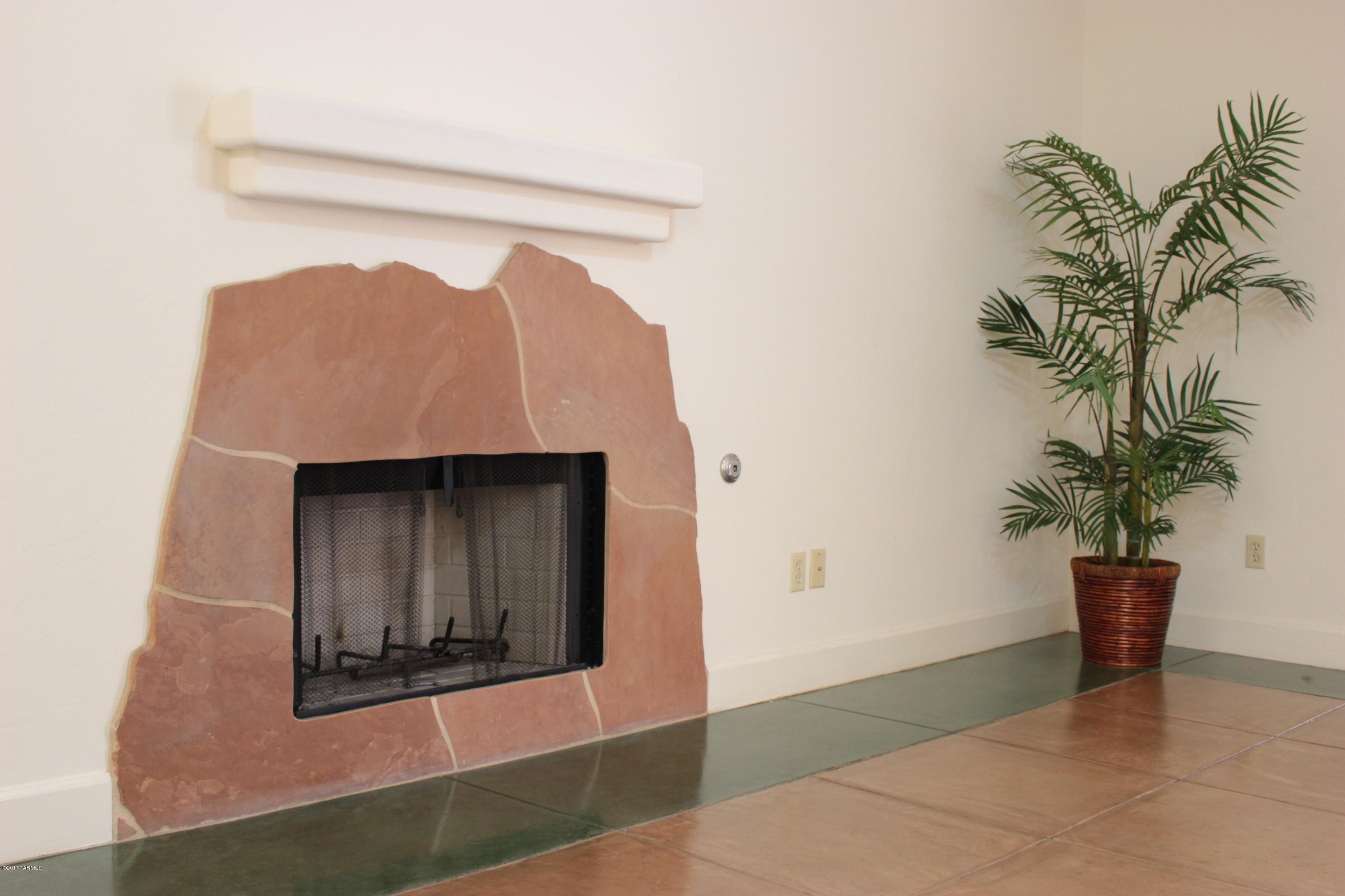 1594 East Painted Colt Loop Tucson, AZ 85719 - Photo 3 of 22