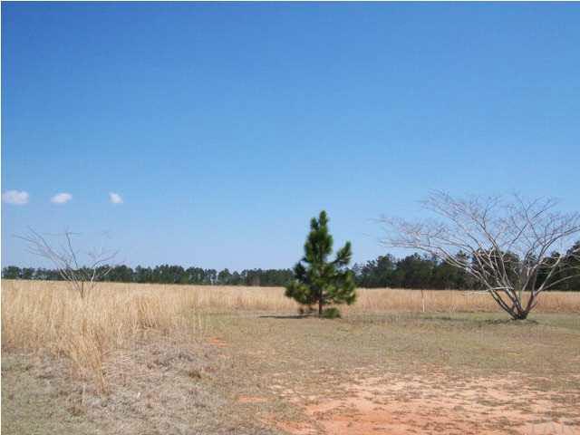 33000-blk Gilley Road Lillian, AL 36549 - Photo 1 of 1