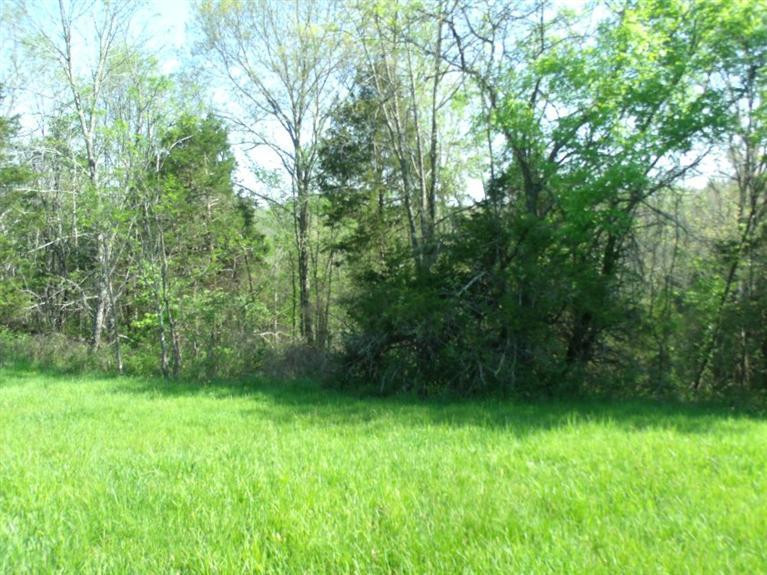 2 Hoophole Road Lawrenceburg, KY 40342 - Photo 9 of 25 Photo 9