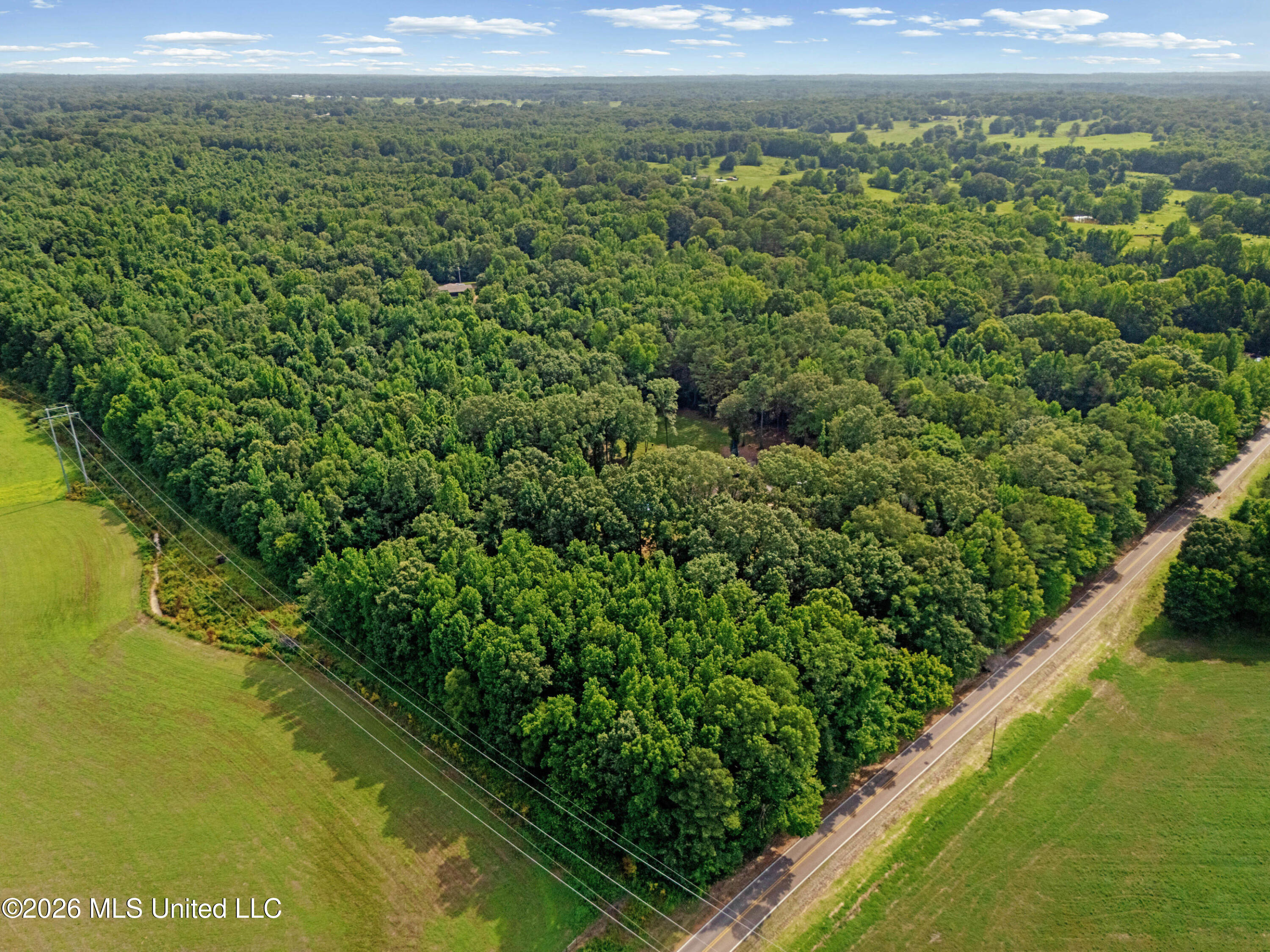 8301 Browns Ferry Road Senatobia, MS 38668 - Photo 14 of 43 37_dji_20260625162557_0248_d_print