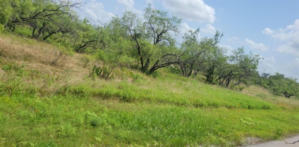 Lot 118 Palmito Rnch Road Corsicana, TX 75110 - Photo 7 of 7 View of local wilderness