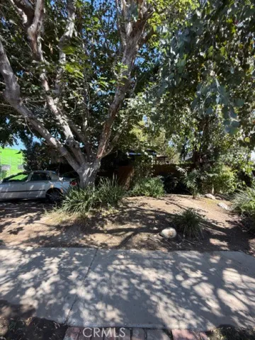a view of a yard with plants and trees