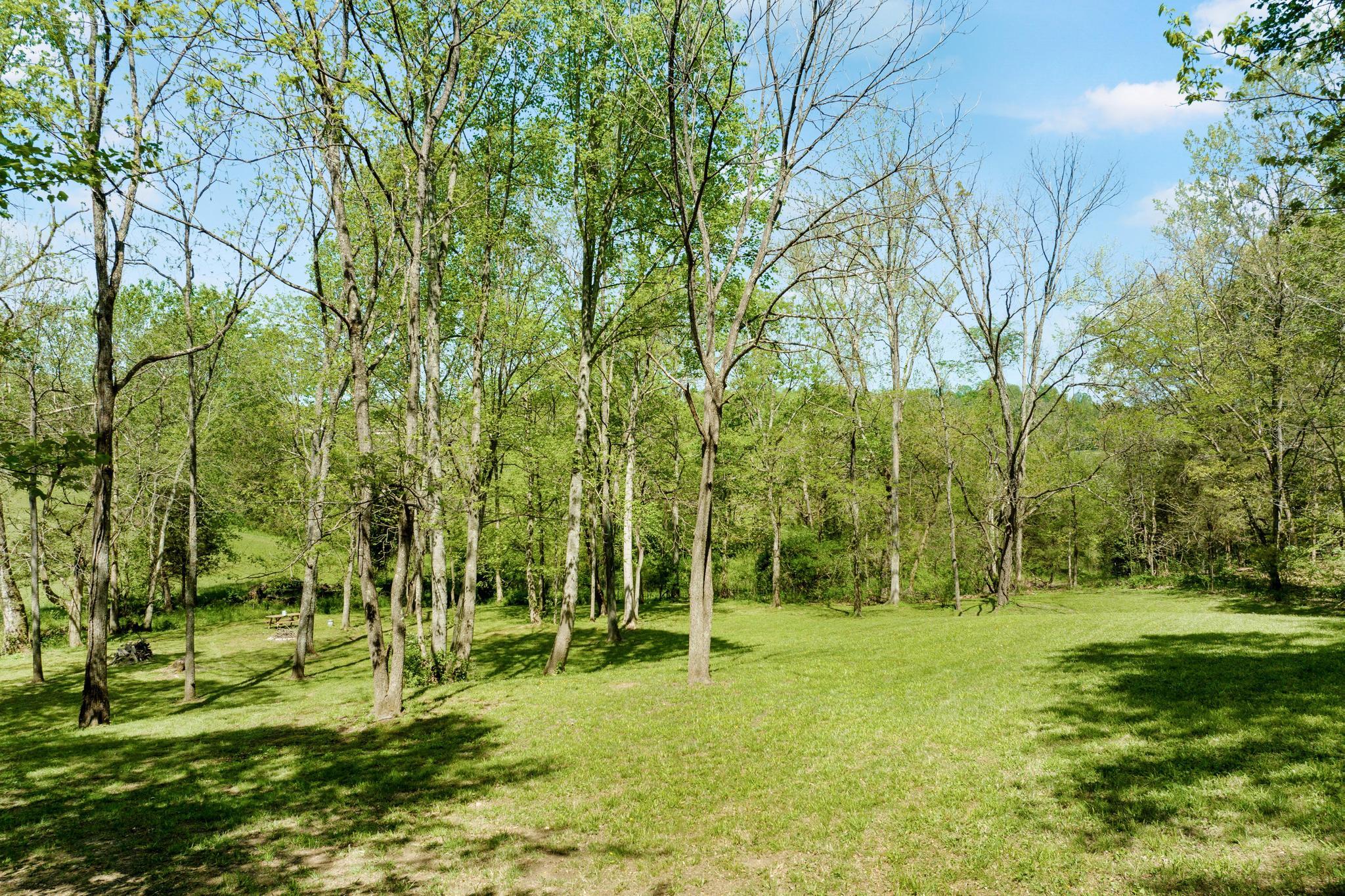 152-150 John Howze Road Jonesborough, TN 37659 - Photo 98 of 104 DJI_0228