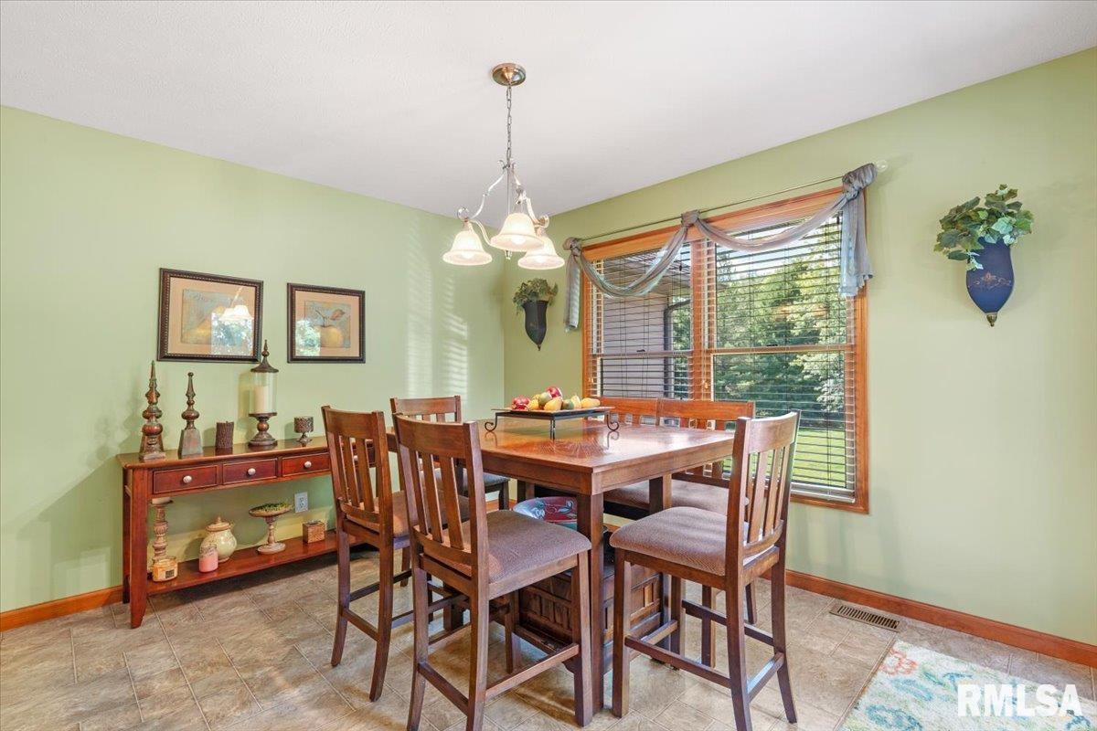 415 Spring Ridge Rochester, IL 62563 - Photo 10 of 48