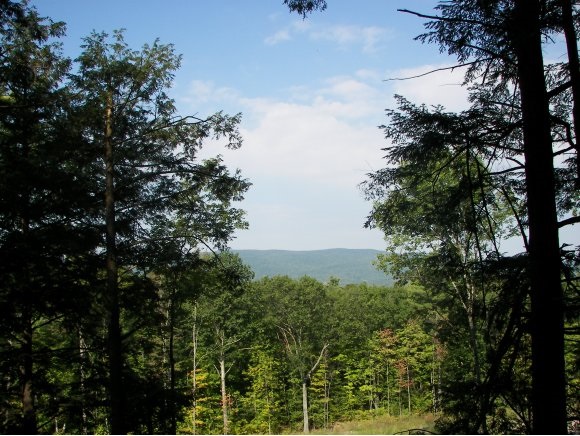 0 Piper Ridge, Unit LOT #5 Middlebury, VT 05753 - Photo 1 of 3