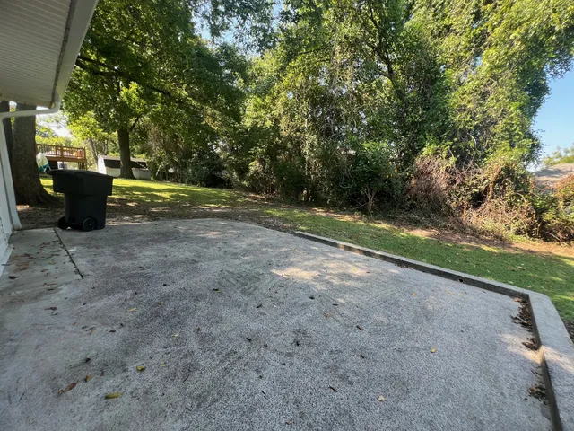 a view of a park with large trees