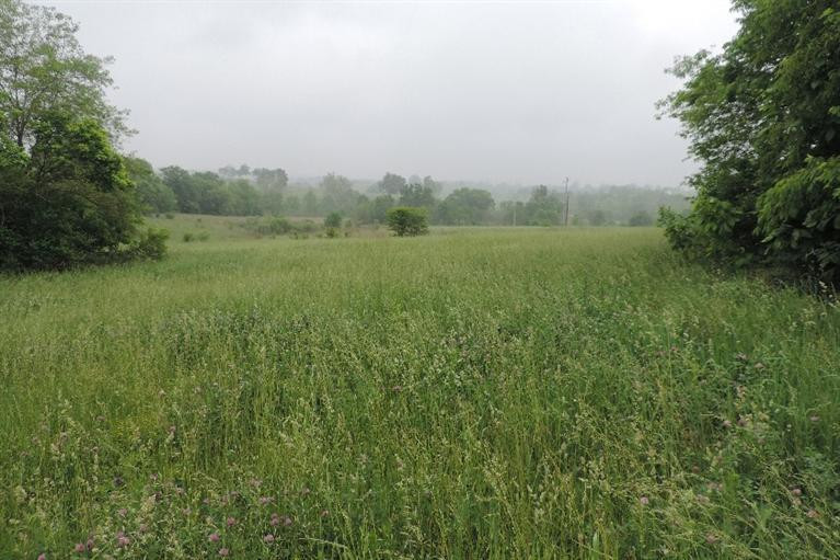 1350 Donaldson Road Winchester, KY 40391 - Photo 5 of 6 Photo 5