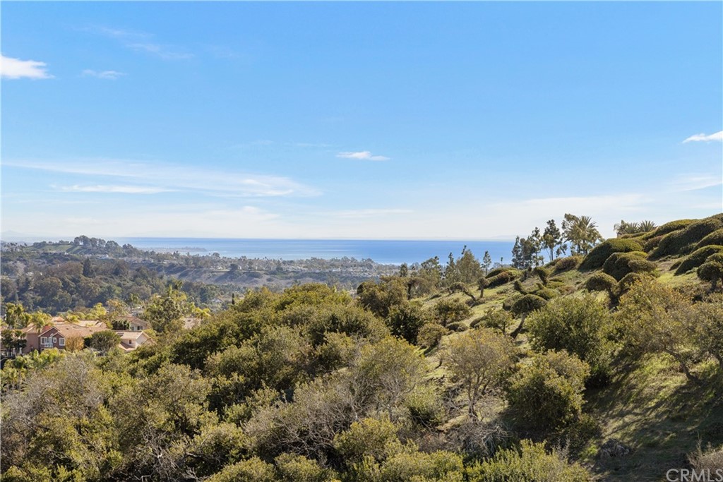 2 Crystal View Ridge Laguna Niguel, CA 92677 - Photo 39 of 50 a view of a city