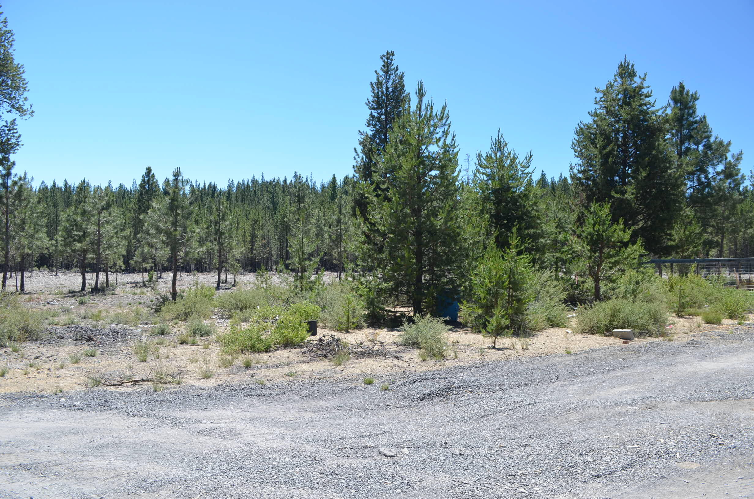 132860 Highway 97 Crescent, OR 97733 - Photo 23 of 25 a view of a yard with a tree