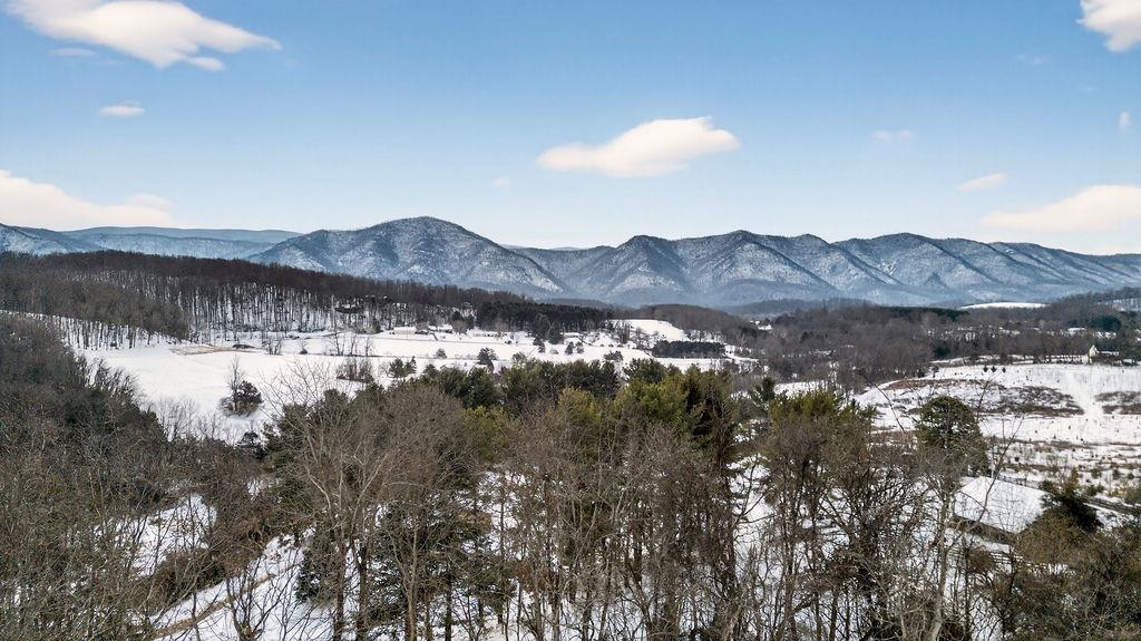 125 Springridge Lane Fairfield, VA 24435 - Photo 30 of 34