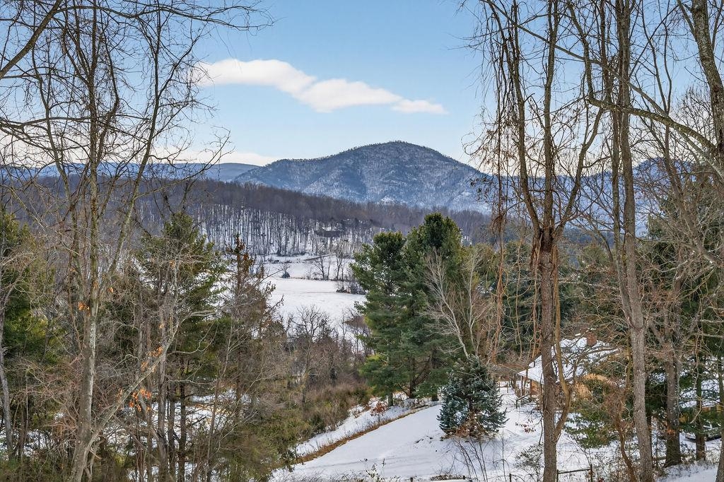 125 Springridge Lane Fairfield, VA 24435 - Photo 31 of 34