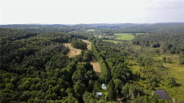 $79,900 | Goddards Road, Mount Vision, NY 13810